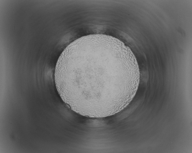 X0000116460286200912292013