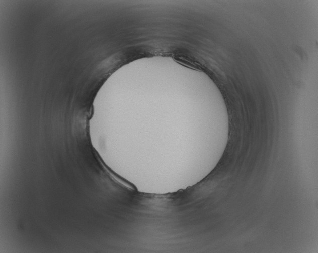 X0000116460288200912292013