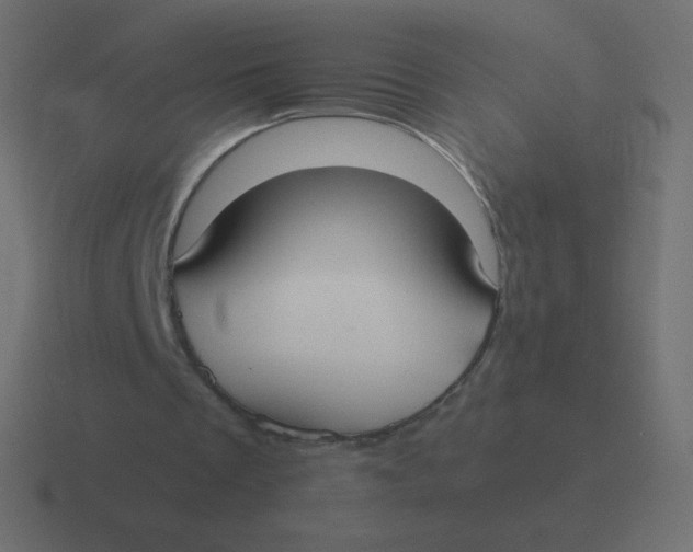 X0000116460289200912292012