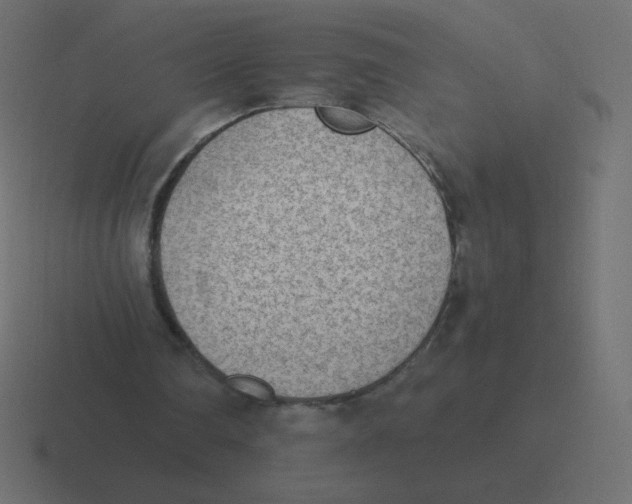 X0000116460290200912292012