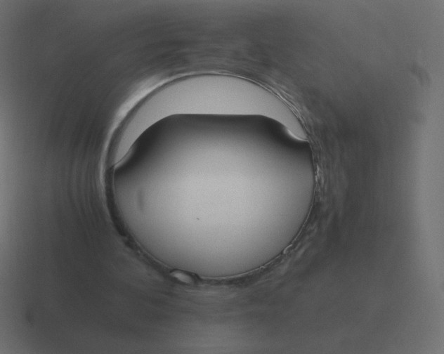 X0000116460292200912292012