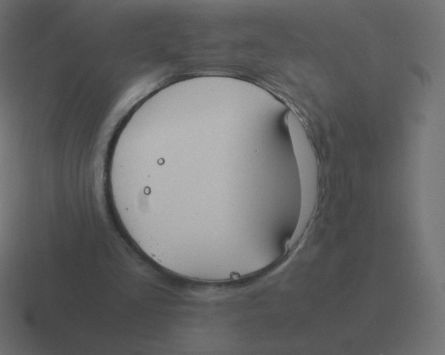 X0000116460293200912292012
