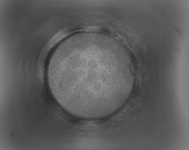 X0000116460295200912292012