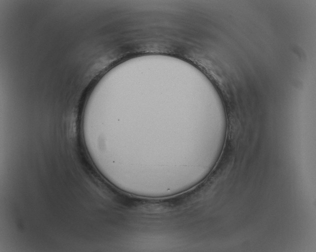 X0000116460299200912292012