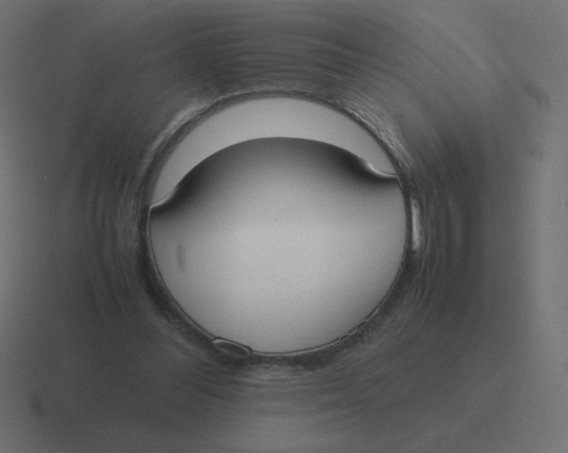 X0000116460300200912292012