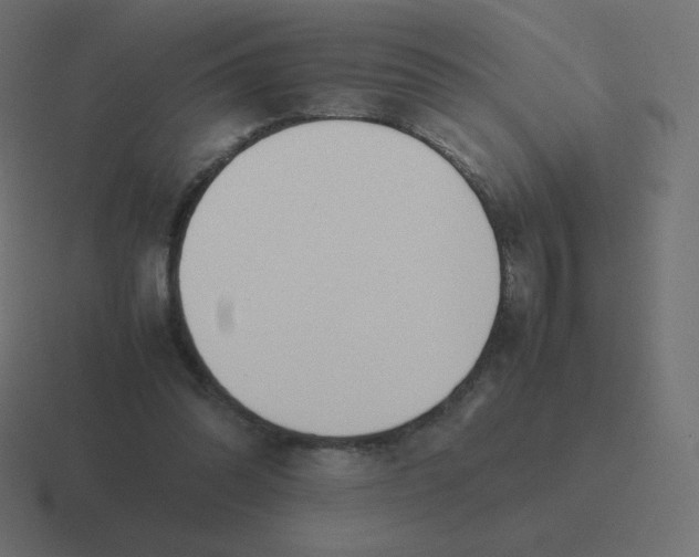X0000116460302200912292012