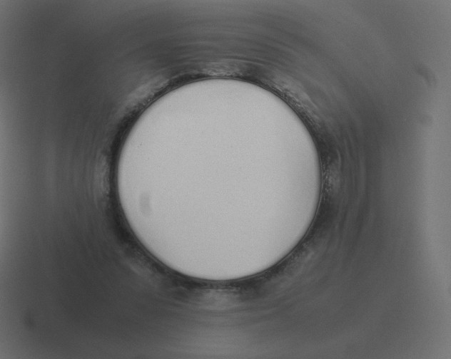 X0000116460303200912292012