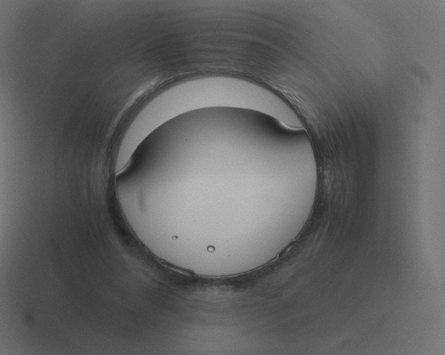 X0000116460304200912292012