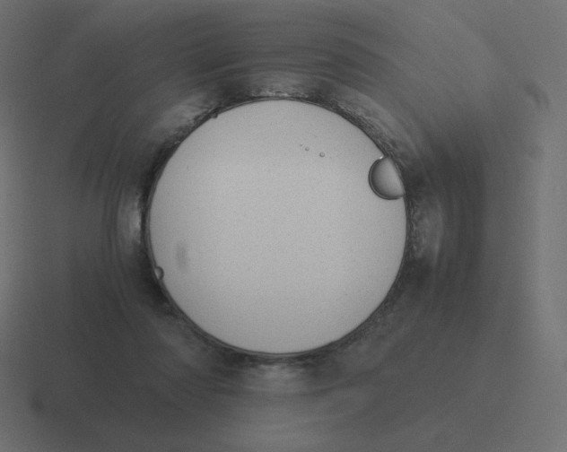 X0000116460310200912292012