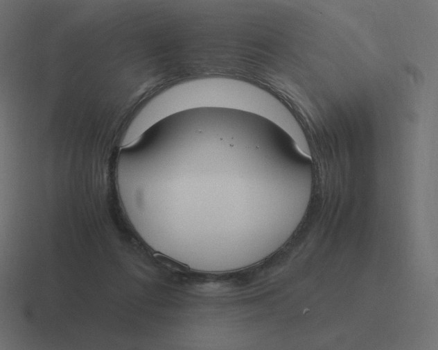 X0000116460312200912292012