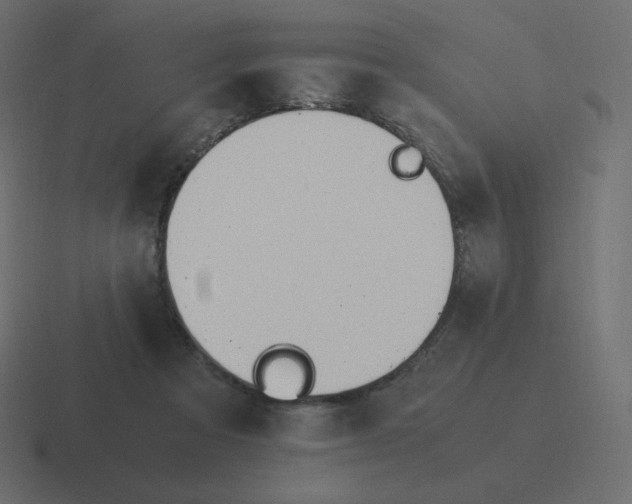 X0000116460313200912292012