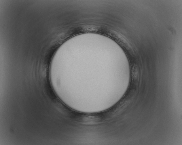 X0000116460315200912292012