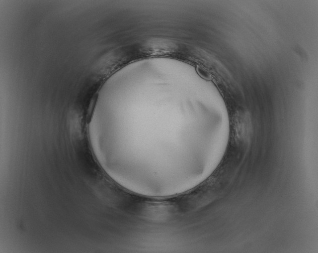 X0000116460316200912292012