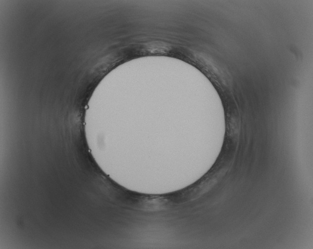 X0000116460321200912292012