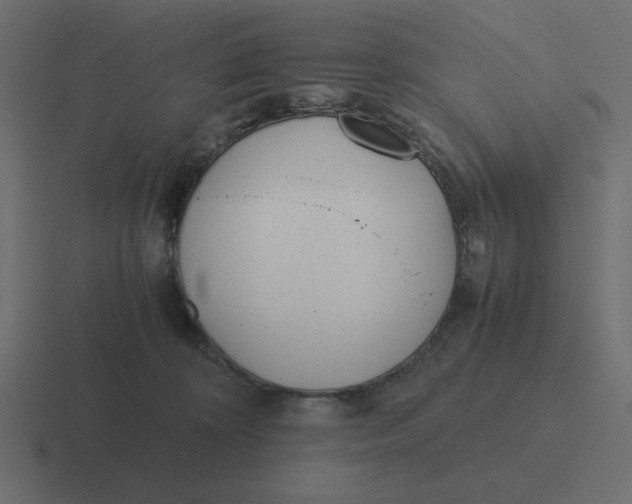 X0000116460324200912292012
