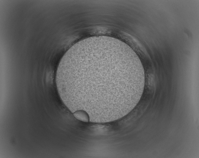 X0000116460326200912292012