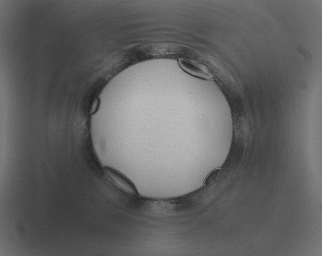 X0000116460327200912292012
