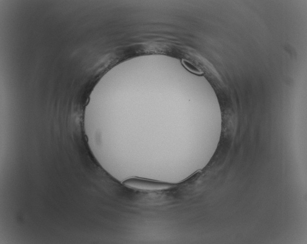 X0000116460329200912292012