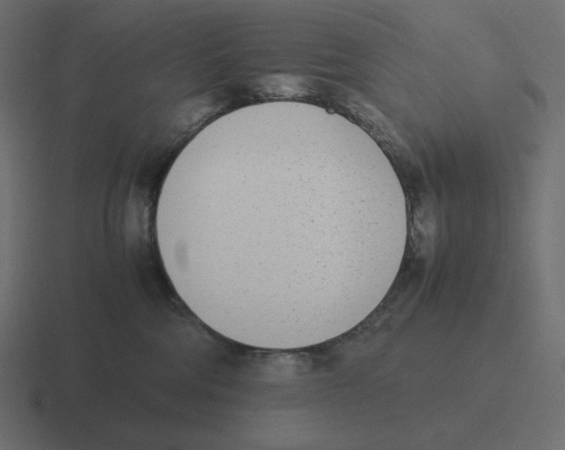 X0000116460330200912292012
