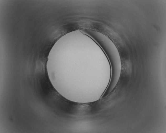 X0000116460333200912292012