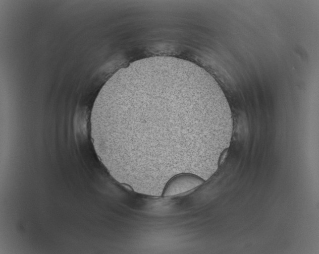 X0000116460334200912292012