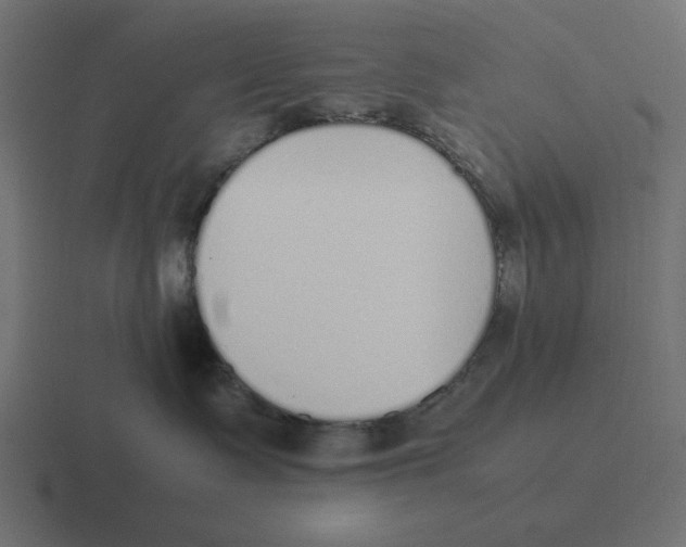 X0000116460335200912292012