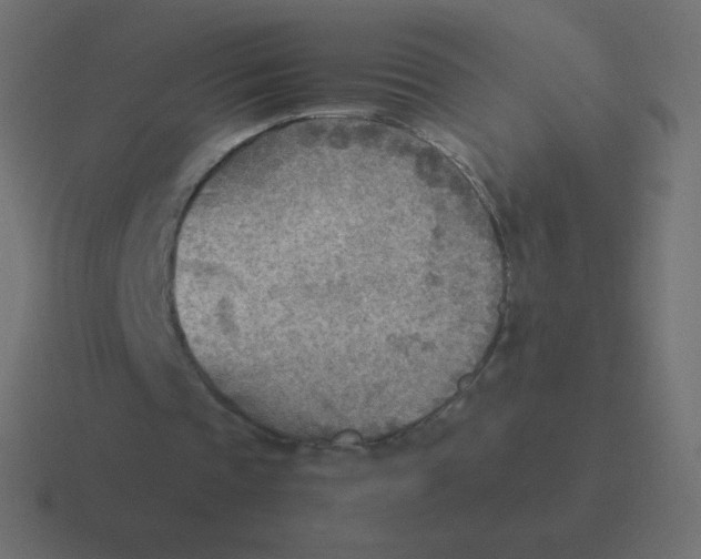 X0000116460337200912292011