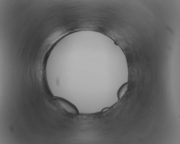 X0000116460338200912292011