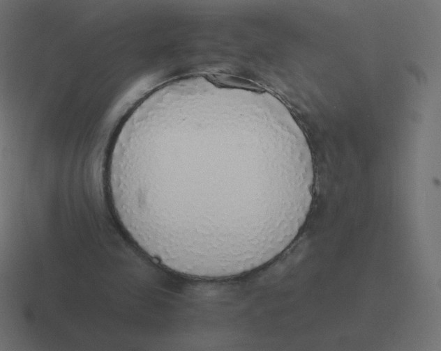 X0000116460341200912292011