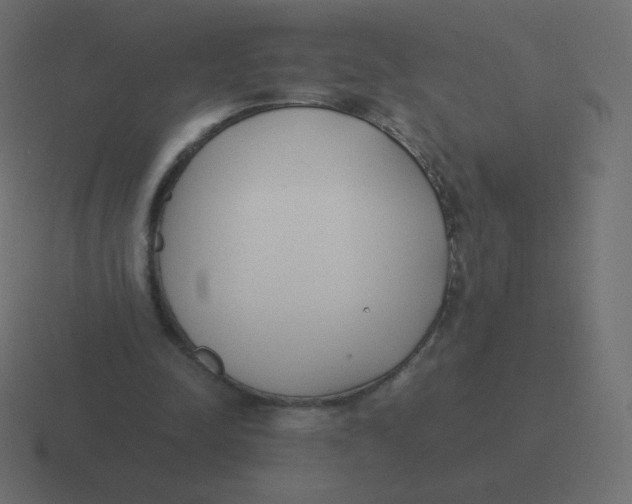 X0000116460342200912292011