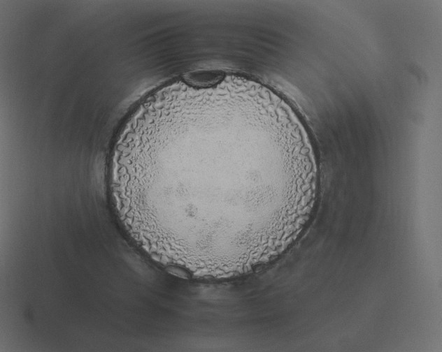 X0000116460345200912292011