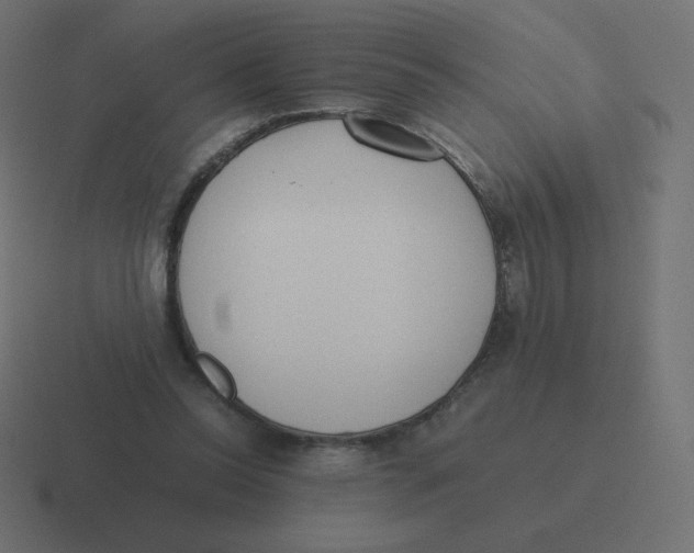 X0000116460350200912292011