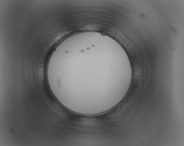 X0000116460351200912292011