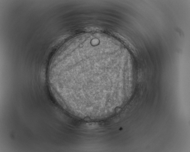 X0000116460353200912292011