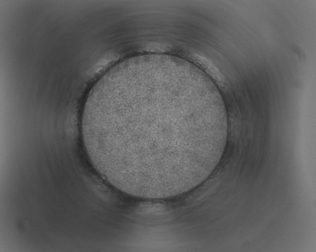 X0000116460354200912292011