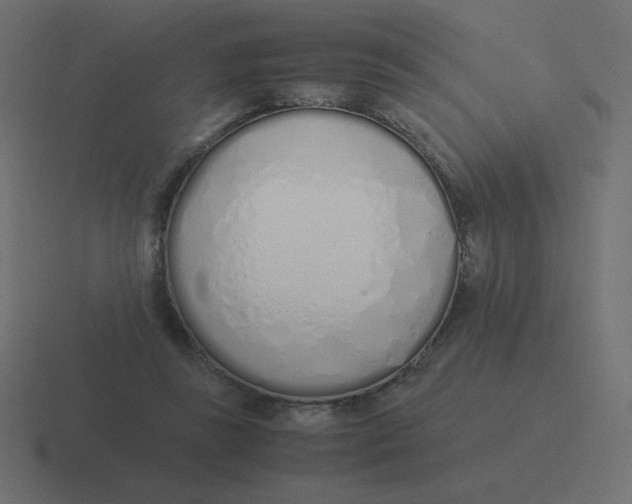 X0000116460355200912292011