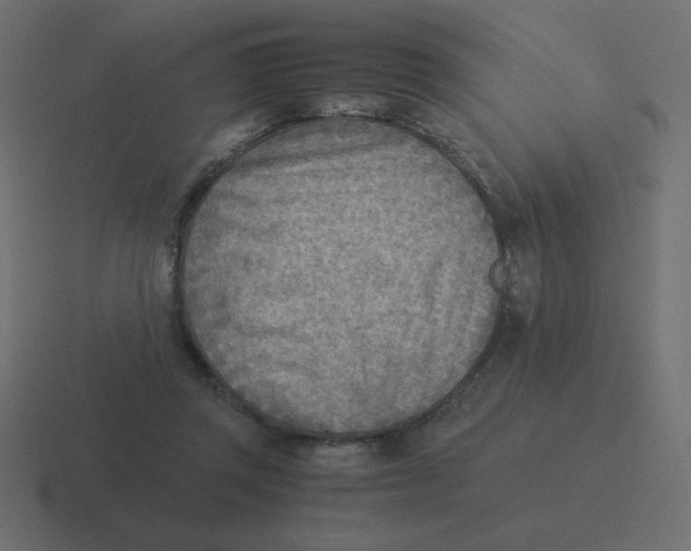 X0000116460357200912292011