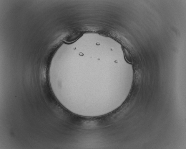 X0000116460358200912292011