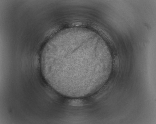 X0000116460361200912292012