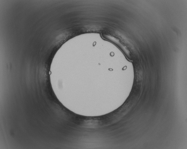X0000116460362200912292012
