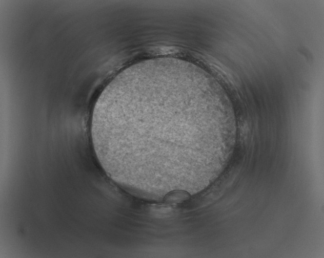 X0000116460373200912292012