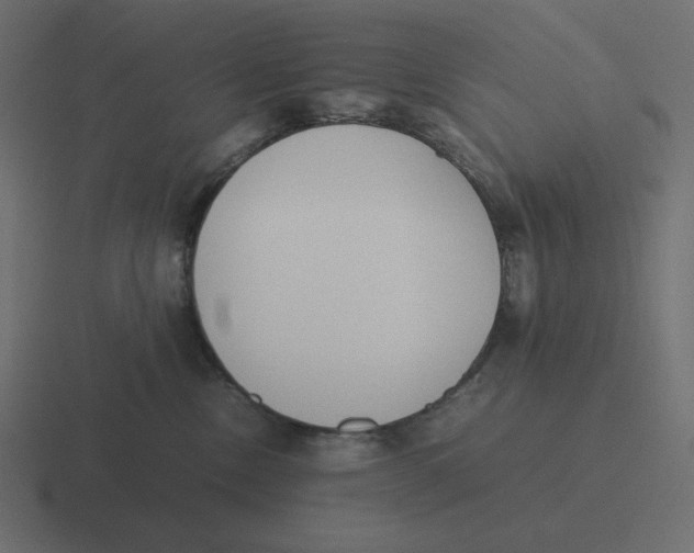X0000116460378200912292012