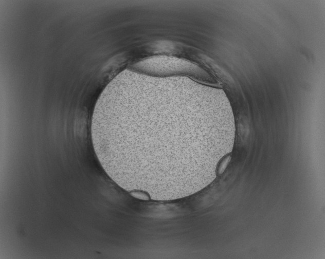 X0000116460379200912292012