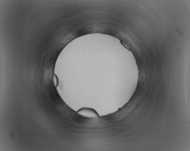 X0000116460382200912292012
