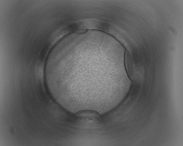 X0000116460386200912292011