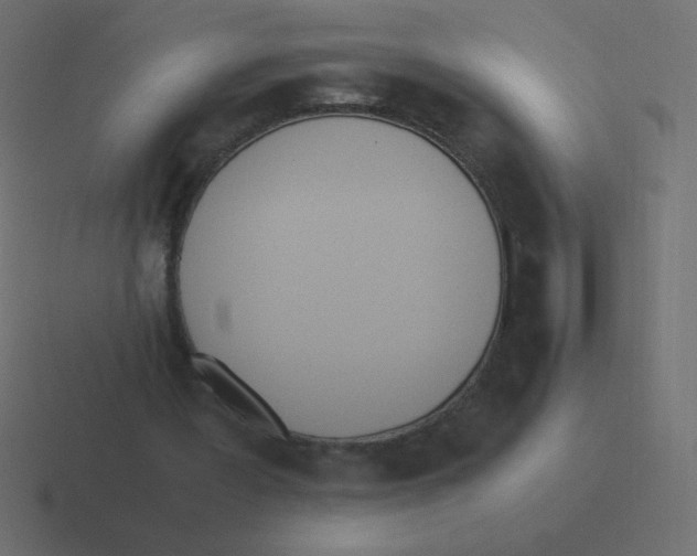 X0000116460387200912292011