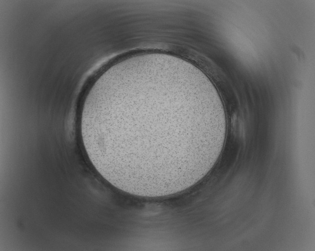 X0000116460388200912292011