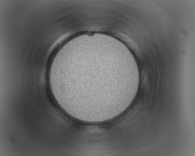 X0000116460392200912292011