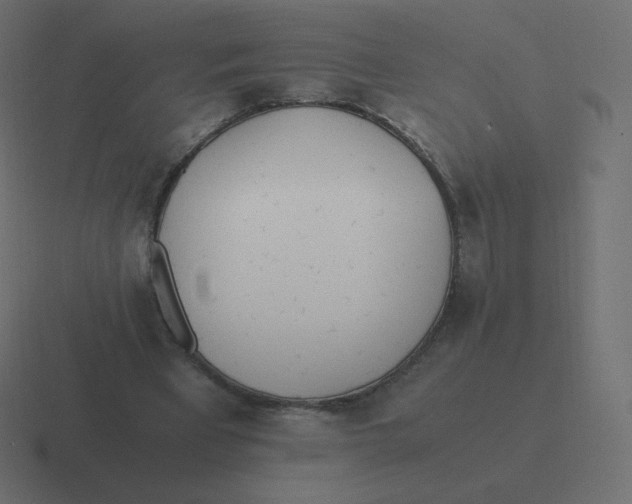 X0000116460393200912292011
