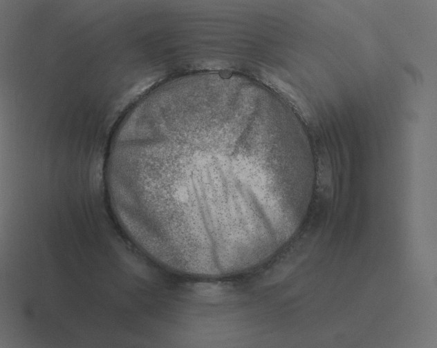 X0000116460394200912292011